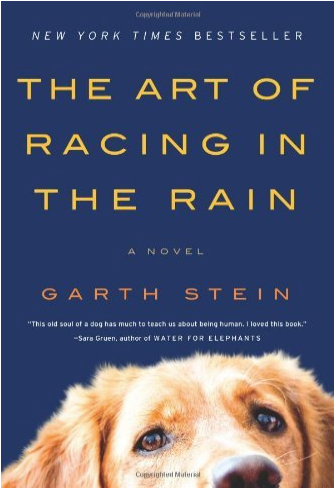 The Art of Racing in the Rain: A Novel